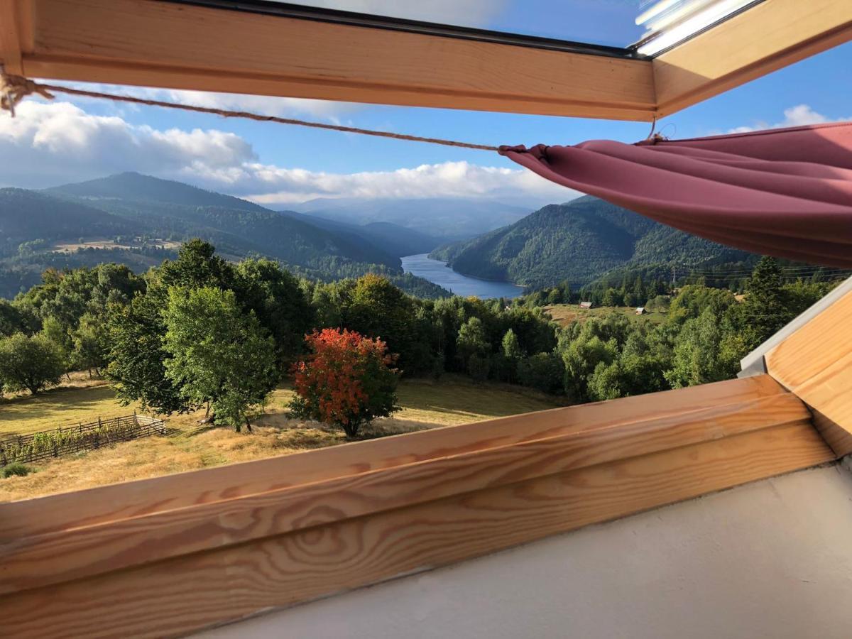 Casa Maria Valea Draganului Homestay