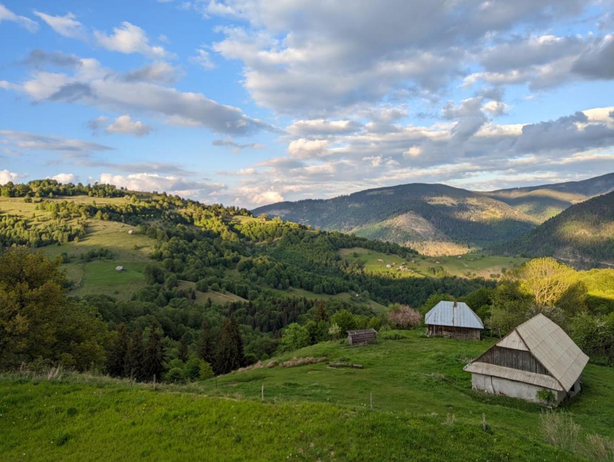 Casa Maria Valea Draganului Lunca Visagului