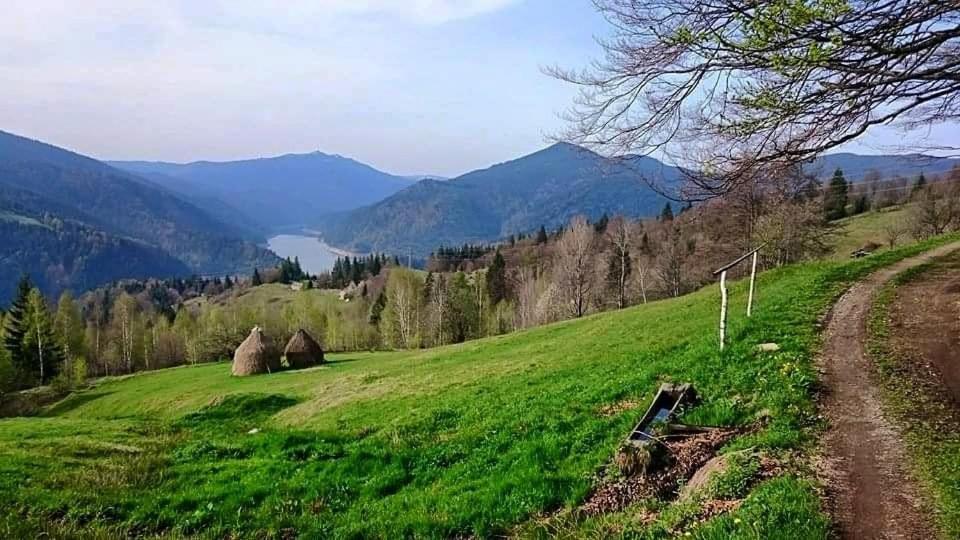 Casa Maria Valea Draganului Homestay Lunca Visagului