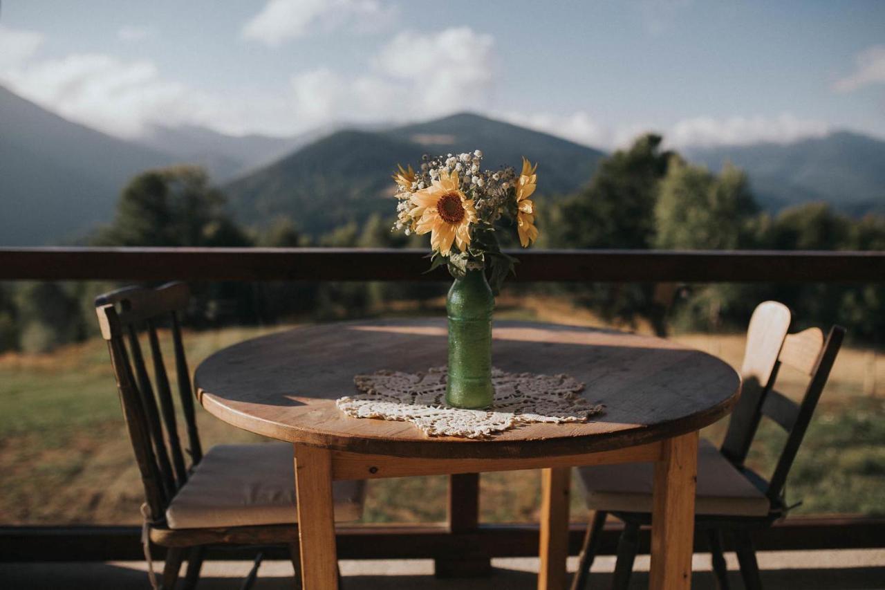 Casa Maria Valea Draganului Homestay Lunca Visagului