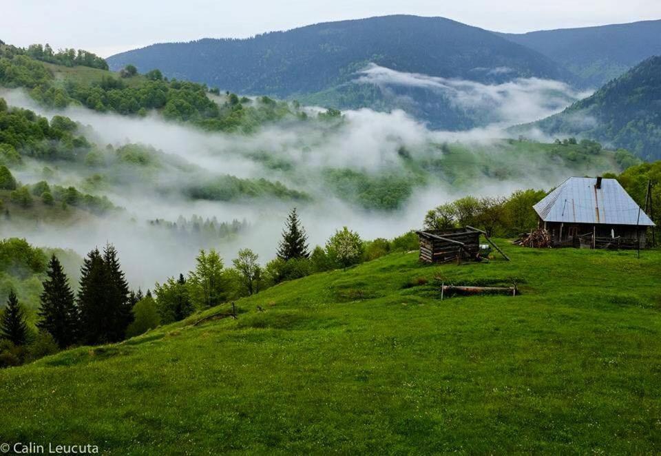Casa Maria Valea Draganului Homestay *