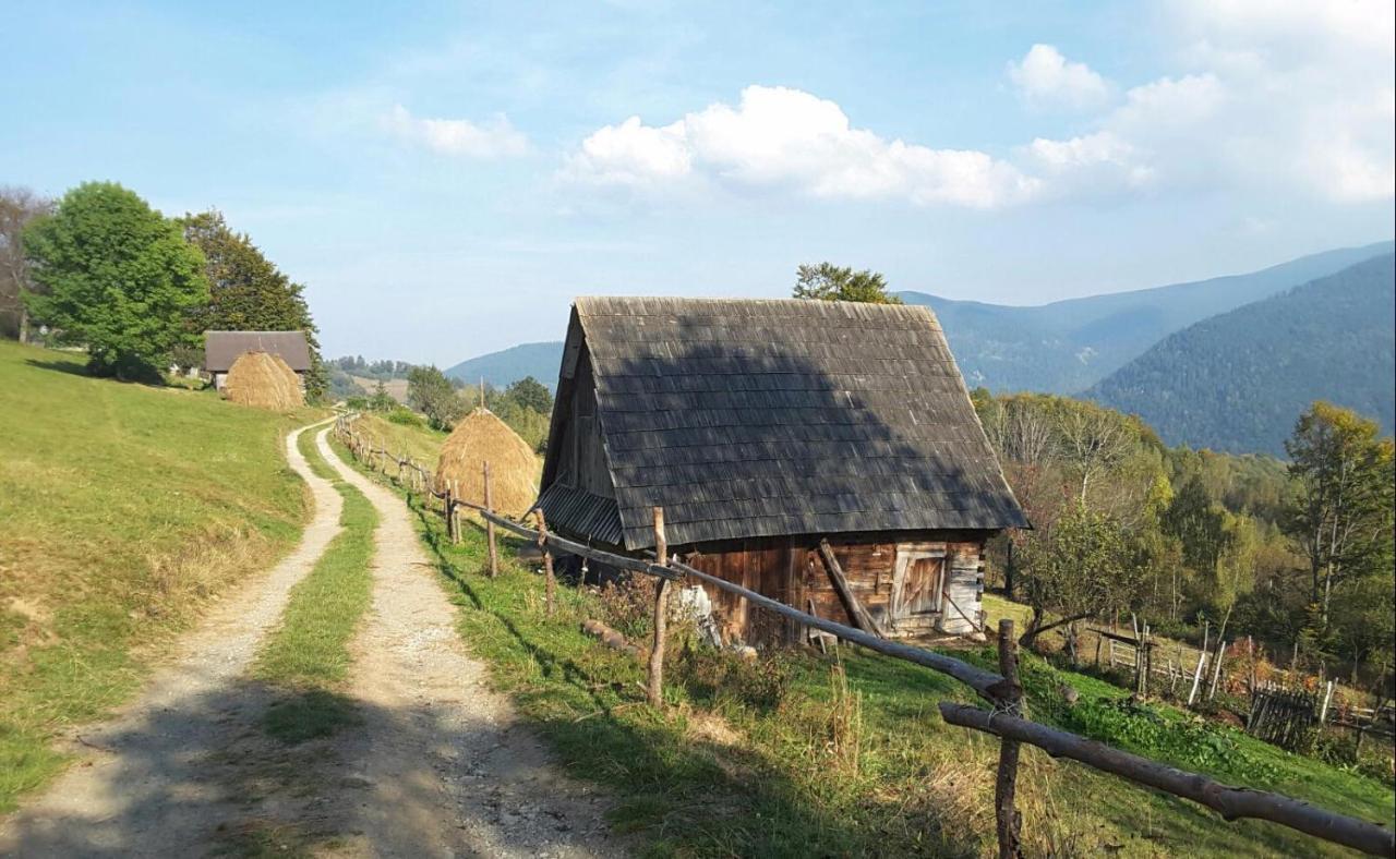 Casa Maria Valea Draganului Lunca Visagului