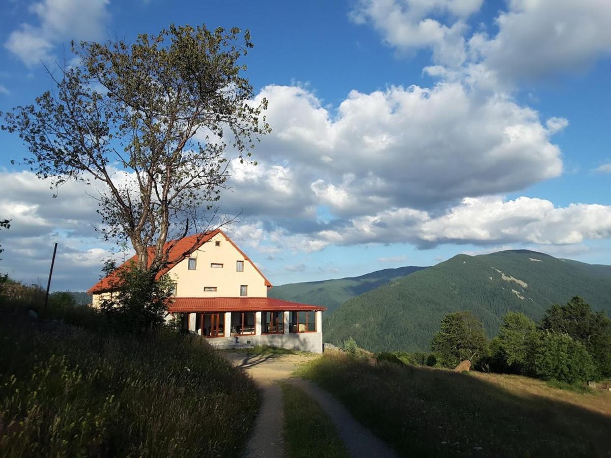 Homestay Casa Maria Valea Draganului *